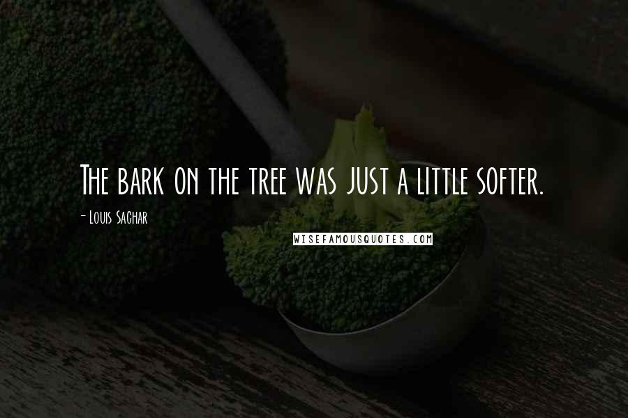 Louis Sachar Quotes: The bark on the tree was just a little softer.