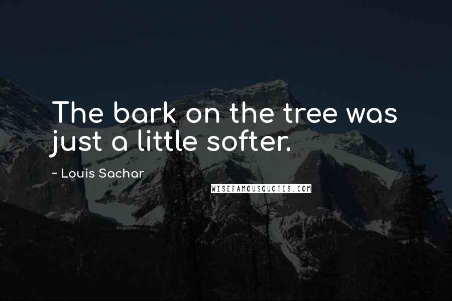 Louis Sachar Quotes: The bark on the tree was just a little softer.