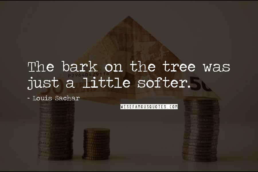 Louis Sachar Quotes: The bark on the tree was just a little softer.
