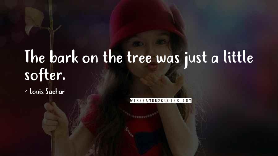 Louis Sachar Quotes: The bark on the tree was just a little softer.