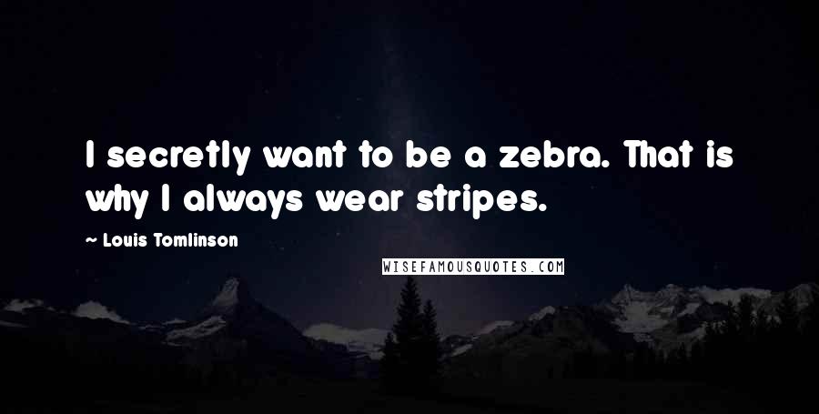 Louis Tomlinson Quotes: I secretly want to be a zebra. That is why I always wear stripes.