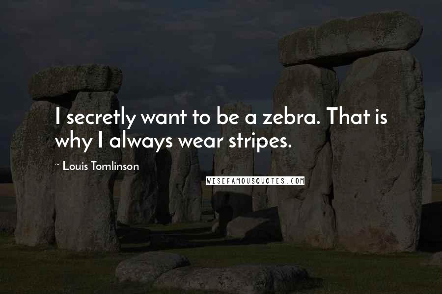 Louis Tomlinson Quotes: I secretly want to be a zebra. That is why I always wear stripes.