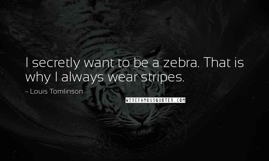 Louis Tomlinson Quotes: I secretly want to be a zebra. That is why I always wear stripes.