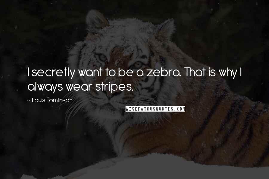 Louis Tomlinson Quotes: I secretly want to be a zebra. That is why I always wear stripes.