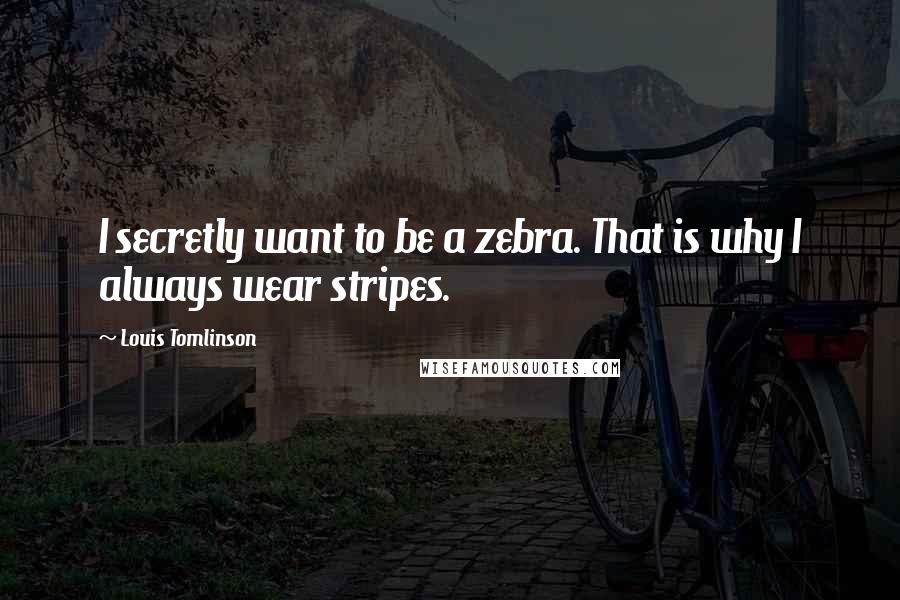 Louis Tomlinson Quotes: I secretly want to be a zebra. That is why I always wear stripes.