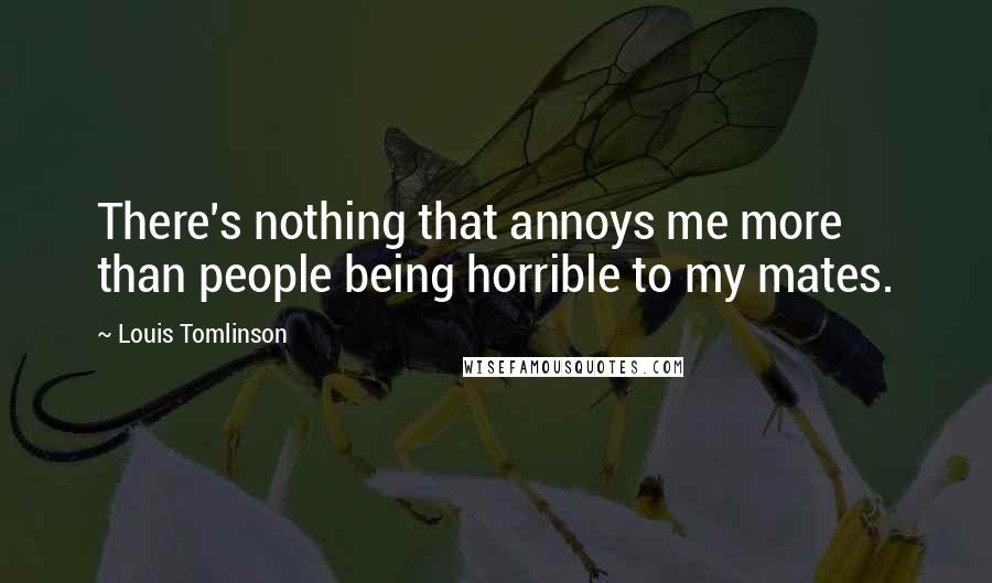 Louis Tomlinson Quotes: There's nothing that annoys me more than people being horrible to my mates.