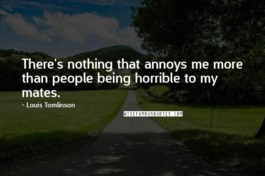 Louis Tomlinson Quotes: There's nothing that annoys me more than people being horrible to my mates.