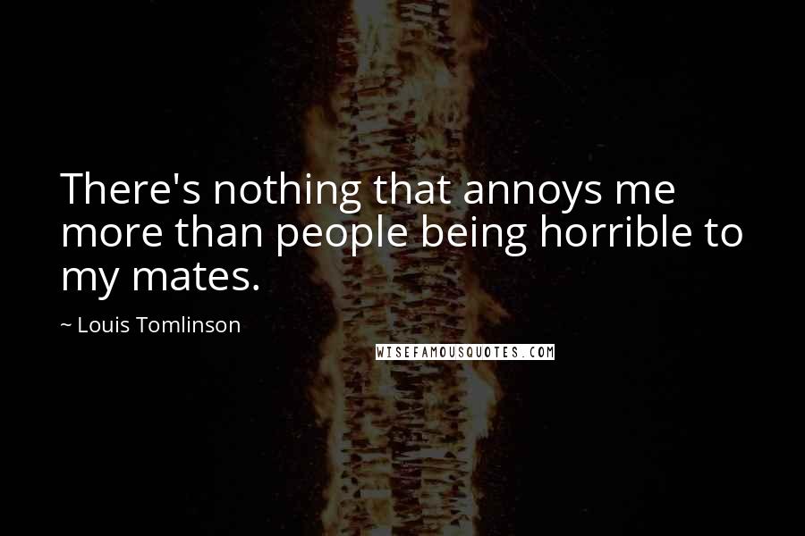 Louis Tomlinson Quotes: There's nothing that annoys me more than people being horrible to my mates.