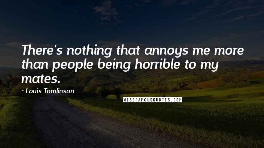 Louis Tomlinson Quotes: There's nothing that annoys me more than people being horrible to my mates.