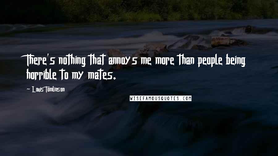 Louis Tomlinson Quotes: There's nothing that annoys me more than people being horrible to my mates.