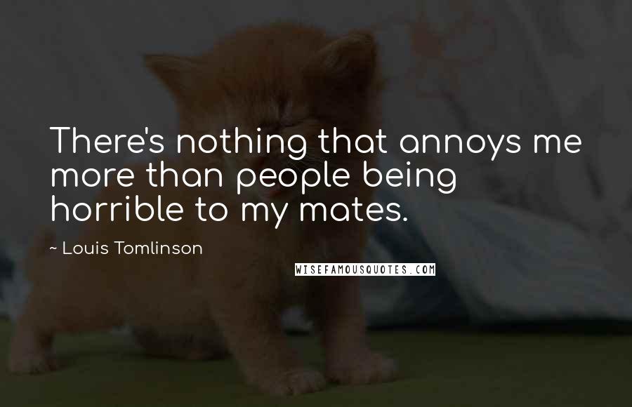 Louis Tomlinson Quotes: There's nothing that annoys me more than people being horrible to my mates.