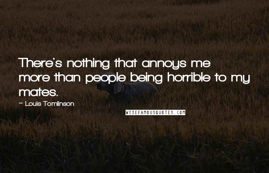 Louis Tomlinson Quotes: There's nothing that annoys me more than people being horrible to my mates.