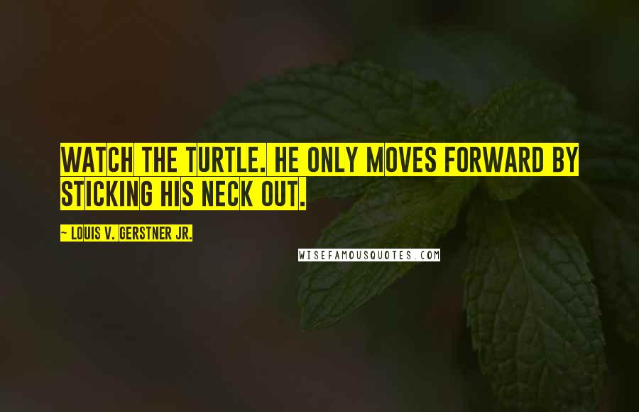 Louis V. Gerstner Jr. Quotes: Watch the turtle. He only moves forward by sticking his neck out.