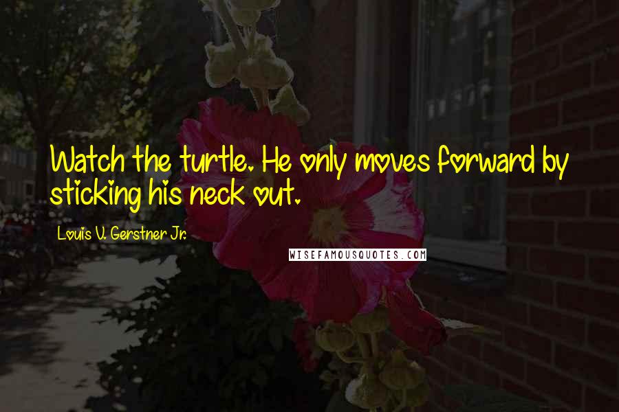 Louis V. Gerstner Jr. Quotes: Watch the turtle. He only moves forward by sticking his neck out.