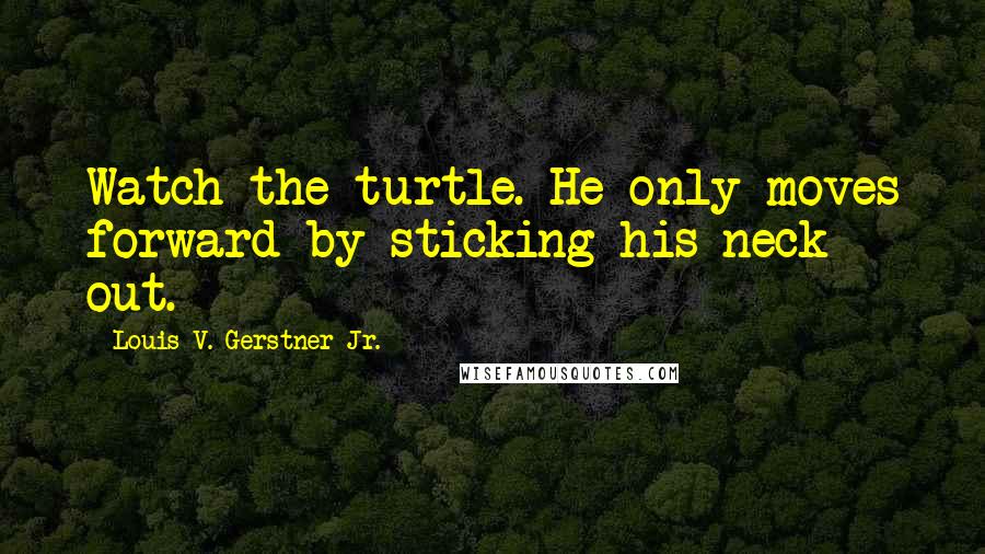 Louis V. Gerstner Jr. Quotes: Watch the turtle. He only moves forward by sticking his neck out.