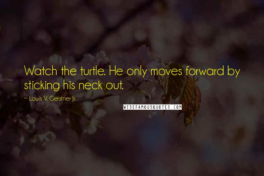 Louis V. Gerstner Jr. Quotes: Watch the turtle. He only moves forward by sticking his neck out.