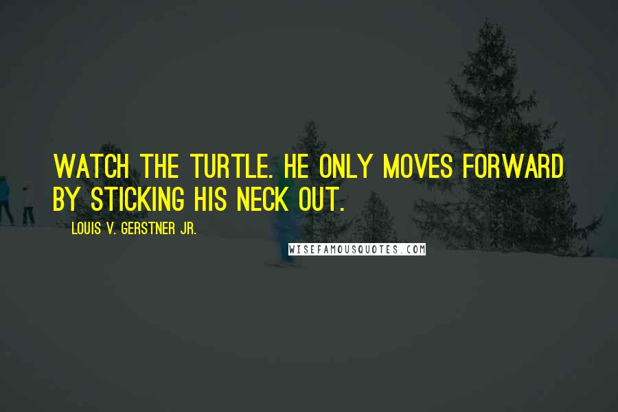 Louis V. Gerstner Jr. Quotes: Watch the turtle. He only moves forward by sticking his neck out.