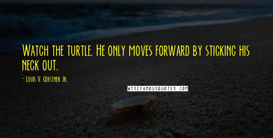 Louis V. Gerstner Jr. Quotes: Watch the turtle. He only moves forward by sticking his neck out.