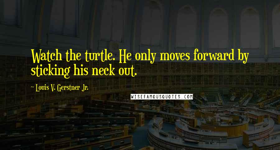 Louis V. Gerstner Jr. Quotes: Watch the turtle. He only moves forward by sticking his neck out.