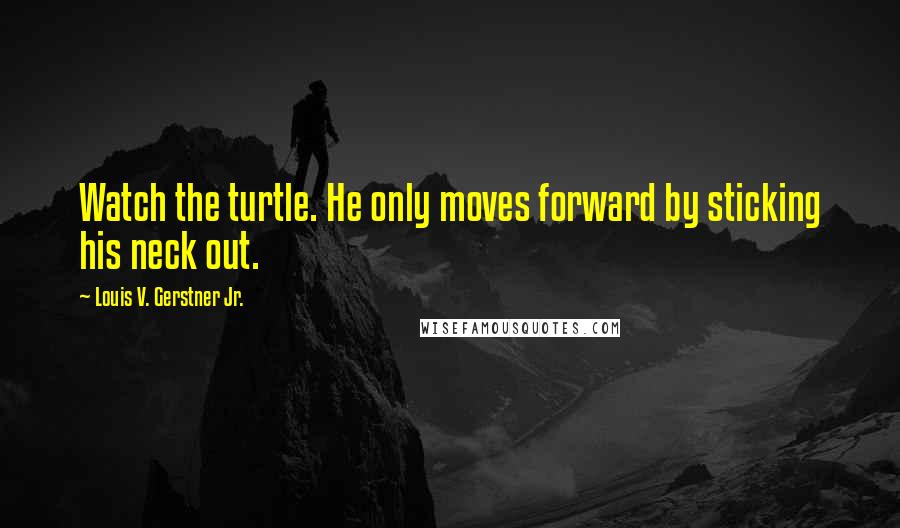 Louis V. Gerstner Jr. Quotes: Watch the turtle. He only moves forward by sticking his neck out.
