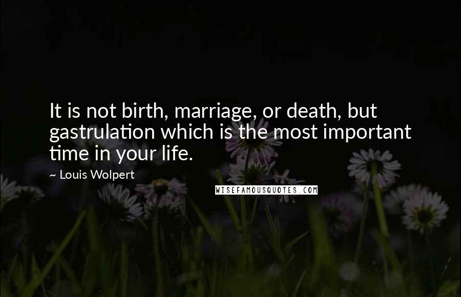 Louis Wolpert Quotes: It is not birth, marriage, or death, but gastrulation which is the most important time in your life.