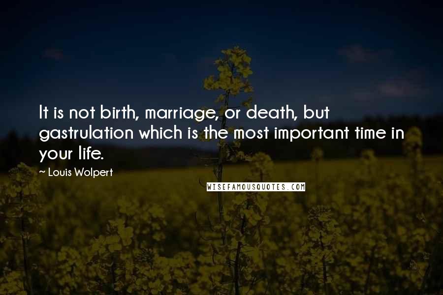 Louis Wolpert Quotes: It is not birth, marriage, or death, but gastrulation which is the most important time in your life.
