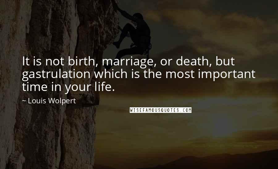 Louis Wolpert Quotes: It is not birth, marriage, or death, but gastrulation which is the most important time in your life.
