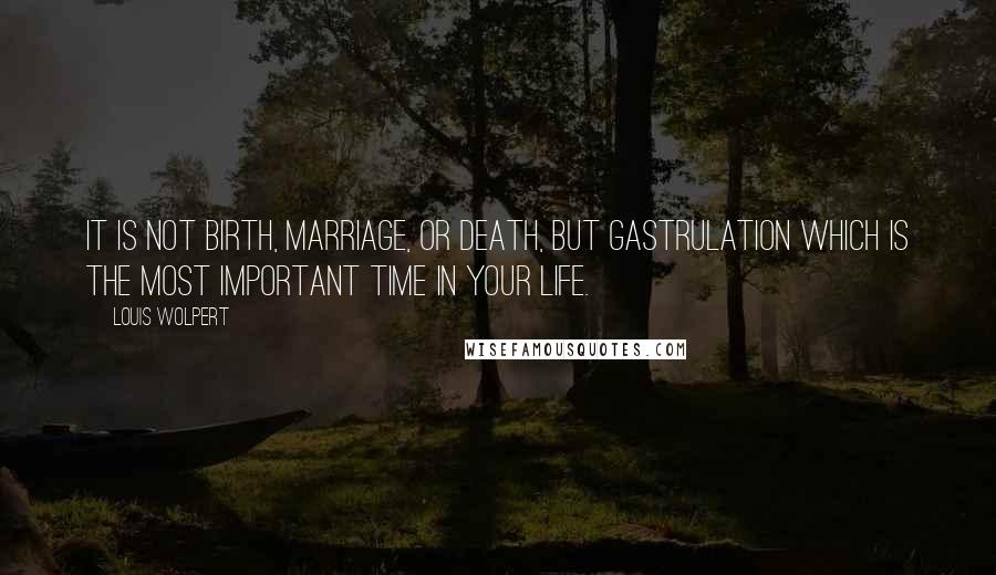 Louis Wolpert Quotes: It is not birth, marriage, or death, but gastrulation which is the most important time in your life.