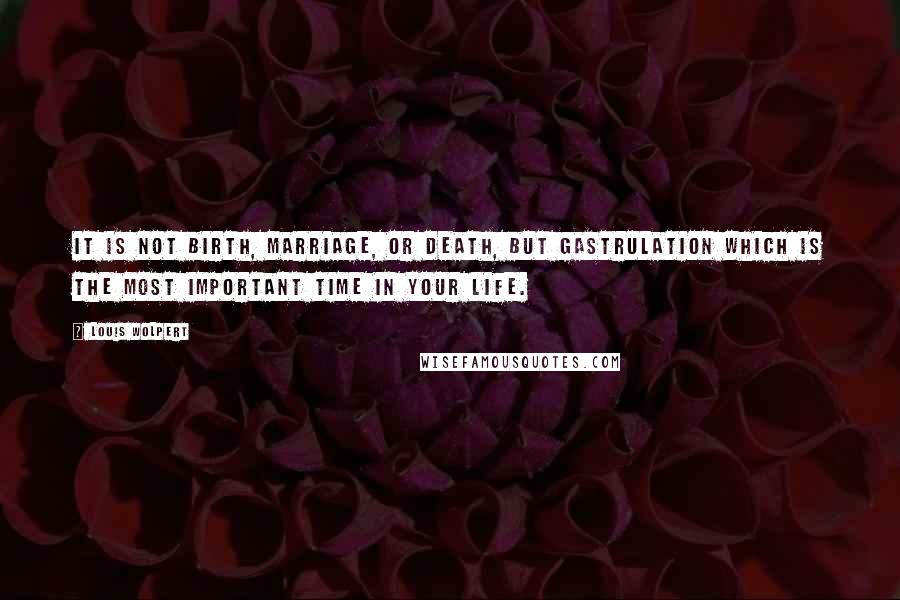 Louis Wolpert Quotes: It is not birth, marriage, or death, but gastrulation which is the most important time in your life.