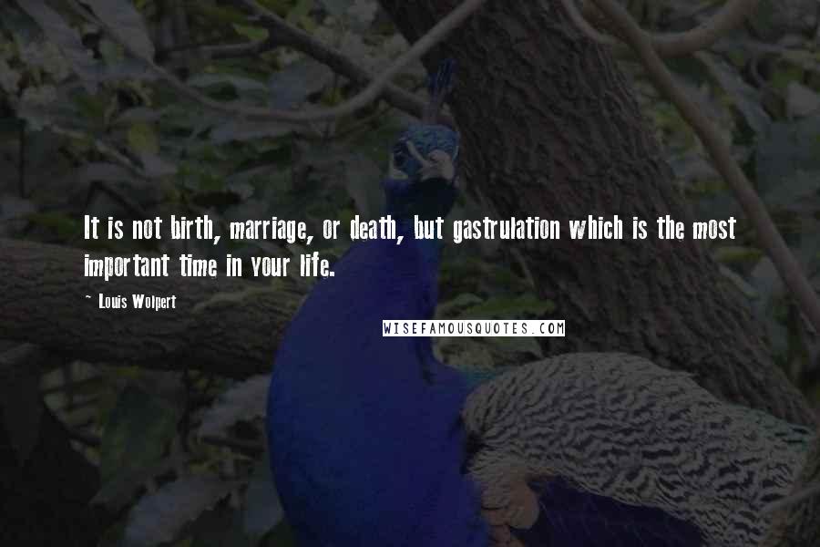Louis Wolpert Quotes: It is not birth, marriage, or death, but gastrulation which is the most important time in your life.