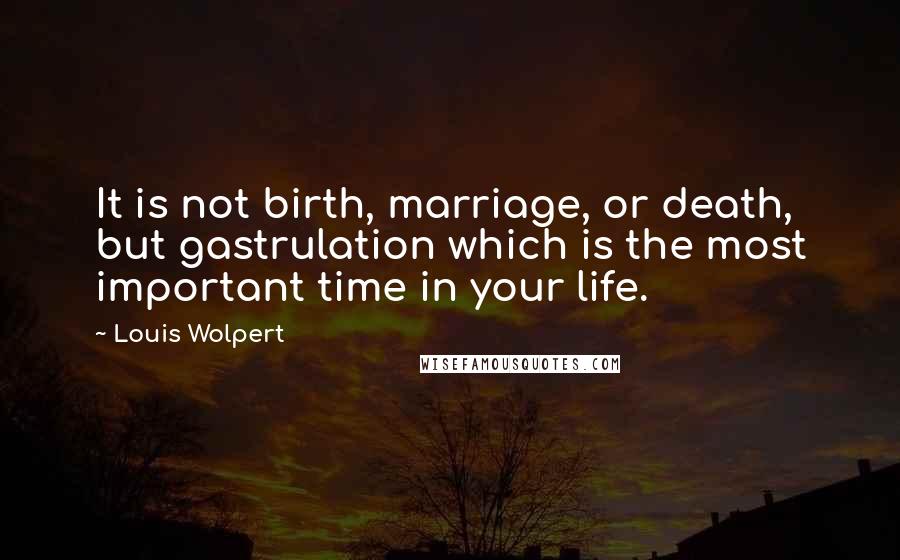 Louis Wolpert Quotes: It is not birth, marriage, or death, but gastrulation which is the most important time in your life.