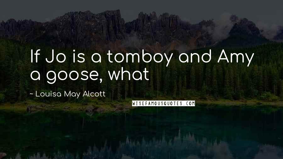 Louisa May Alcott Quotes: If Jo is a tomboy and Amy a goose, what