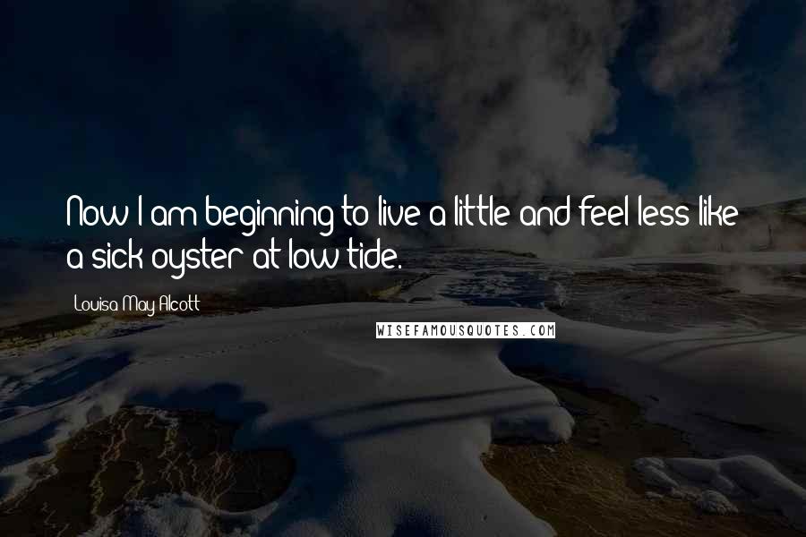 Louisa May Alcott Quotes: Now I am beginning to live a little and feel less like a sick oyster at low tide.