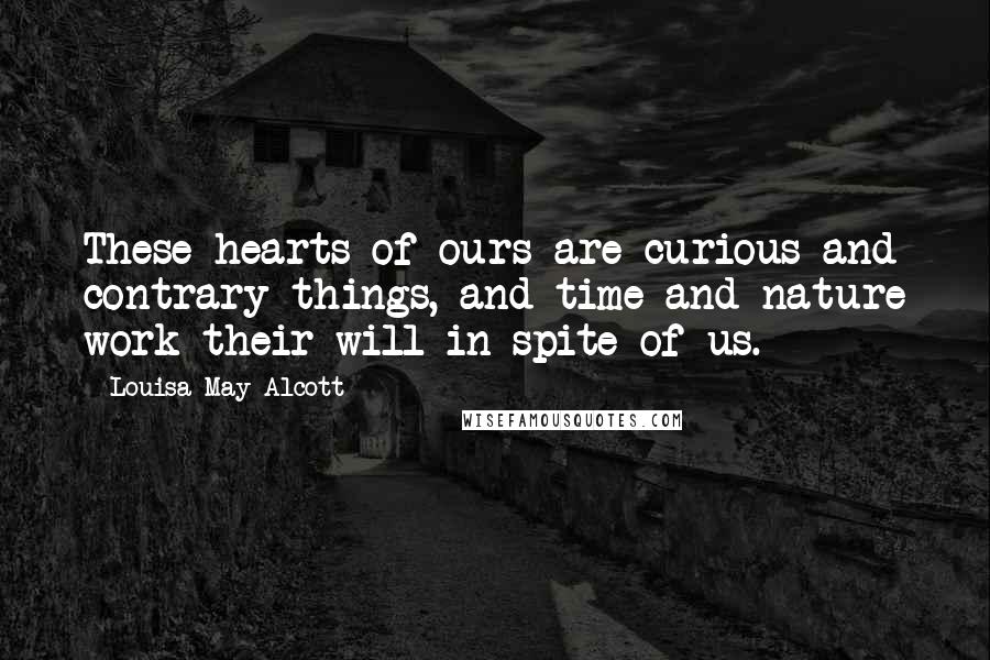 Louisa May Alcott Quotes: These hearts of ours are curious and contrary things, and time and nature work their will in spite of us.
