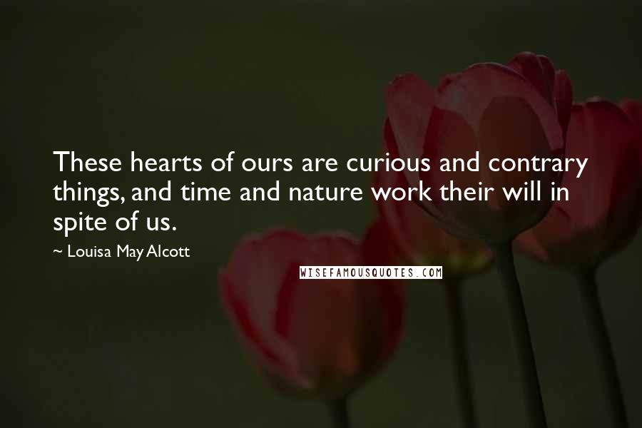 Louisa May Alcott Quotes: These hearts of ours are curious and contrary things, and time and nature work their will in spite of us.