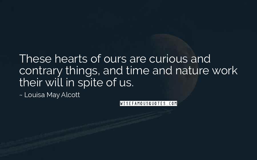 Louisa May Alcott Quotes: These hearts of ours are curious and contrary things, and time and nature work their will in spite of us.
