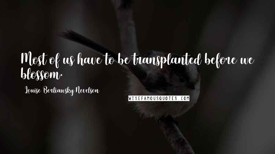 Louise Berliawsky Nevelson Quotes: Most of us have to be transplanted before we blossom.