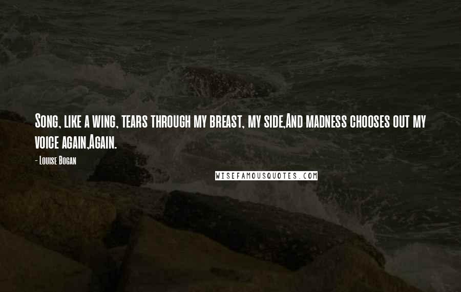 Louise Bogan Quotes: Song, like a wing, tears through my breast, my side,And madness chooses out my voice again,Again.
