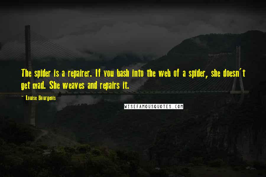 Louise Bourgeois Quotes: The spider is a repairer. If you bash into the web of a spider, she doesn't get mad. She weaves and repairs it.