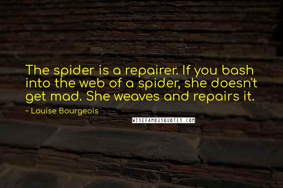 Louise Bourgeois Quotes: The spider is a repairer. If you bash into the web of a spider, she doesn't get mad. She weaves and repairs it.