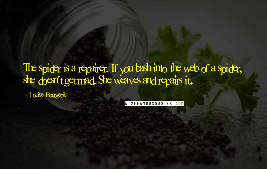 Louise Bourgeois Quotes: The spider is a repairer. If you bash into the web of a spider, she doesn't get mad. She weaves and repairs it.