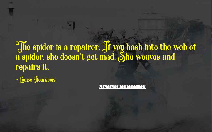 Louise Bourgeois Quotes: The spider is a repairer. If you bash into the web of a spider, she doesn't get mad. She weaves and repairs it.