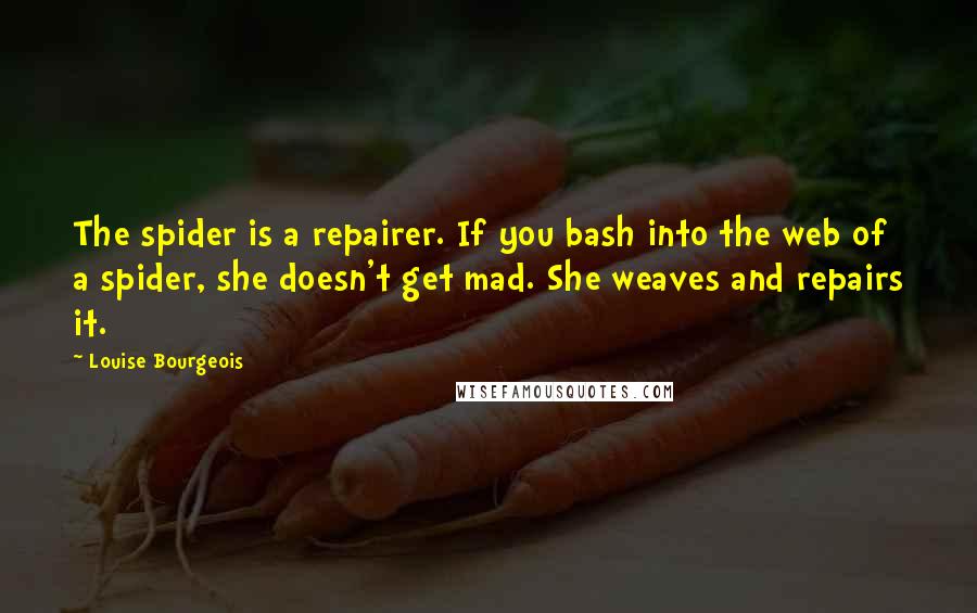 Louise Bourgeois Quotes: The spider is a repairer. If you bash into the web of a spider, she doesn't get mad. She weaves and repairs it.