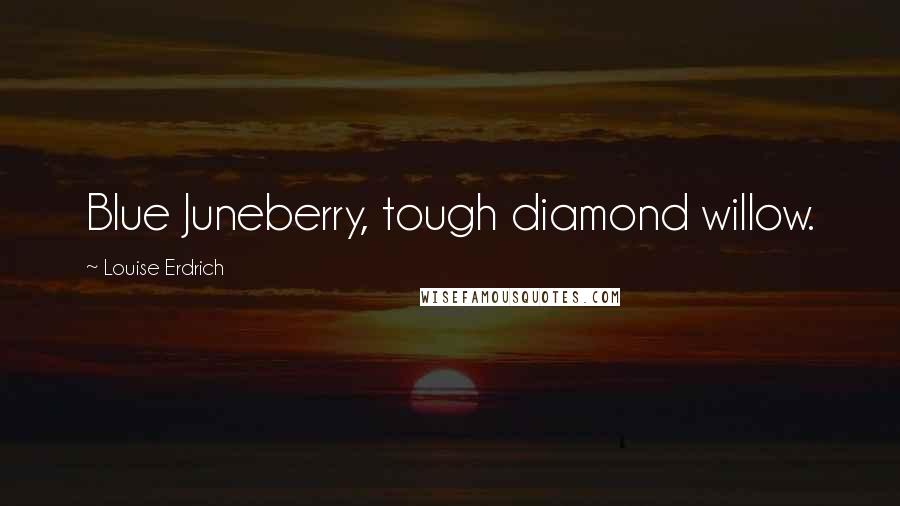 Louise Erdrich Quotes: Blue Juneberry, tough diamond willow.