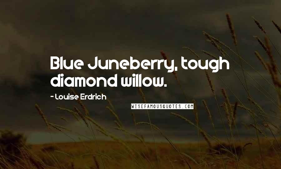 Louise Erdrich Quotes: Blue Juneberry, tough diamond willow.