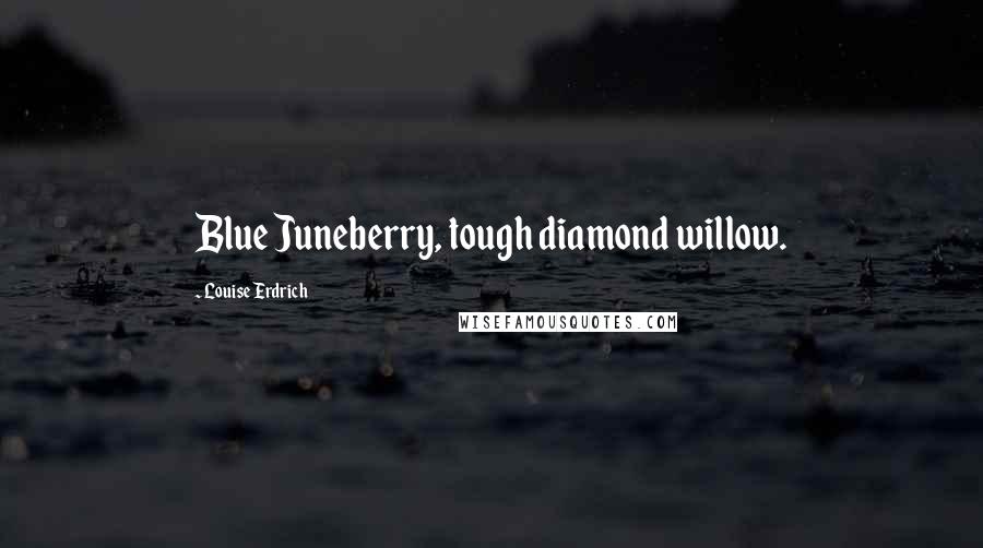 Louise Erdrich Quotes: Blue Juneberry, tough diamond willow.