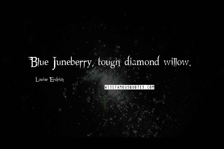 Louise Erdrich Quotes: Blue Juneberry, tough diamond willow.
