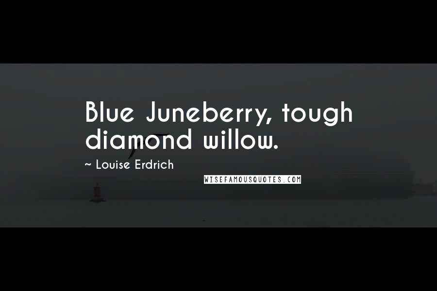 Louise Erdrich Quotes: Blue Juneberry, tough diamond willow.
