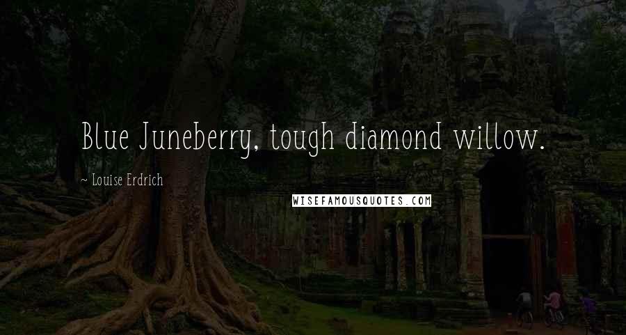 Louise Erdrich Quotes: Blue Juneberry, tough diamond willow.