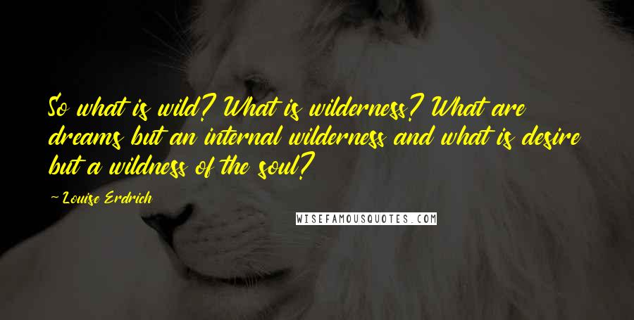 Louise Erdrich Quotes: So what is wild? What is wilderness? What are dreams but an internal wilderness and what is desire but a wildness of the soul?